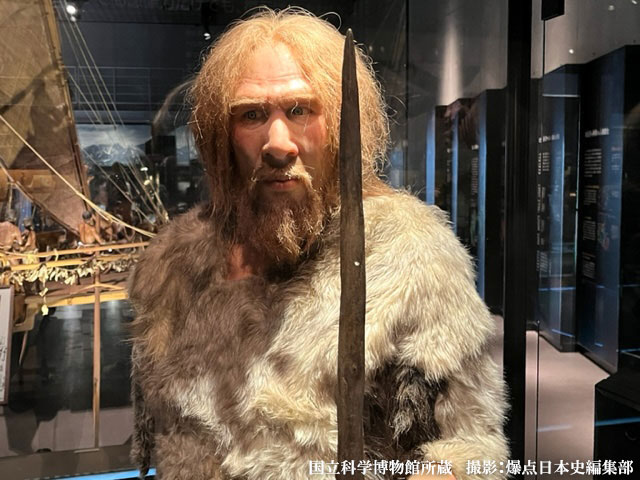 7万年前のネアンデルタール人の成人男性　国立科学博物館所蔵　撮影:爆点日本史編集部