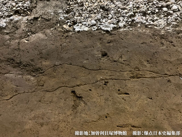 関東ローム層の赤土（加曽利貝塚）撮影:爆点日本史編集部