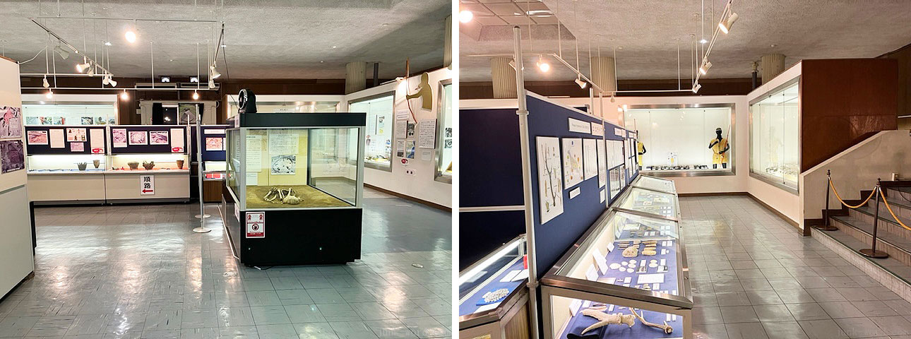 加曽利貝塚博物館 出土した土器や石器、土偶、装飾品、骨などを展示