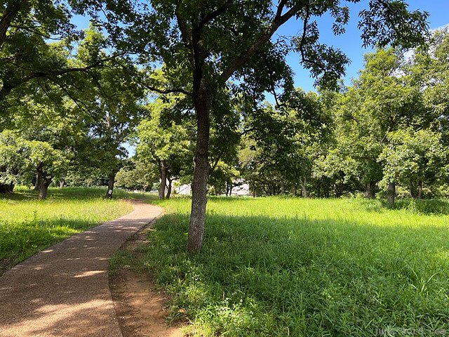 加曽利貝塚縄文遺跡公園は木々に囲まれ緑がいっぱい！散歩に最適！