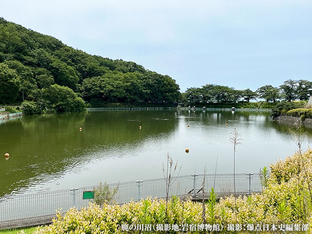 岩宿博物館 鹿の川沼