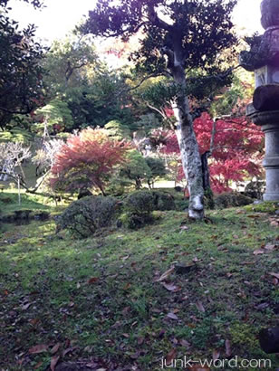 成田山新勝寺（なりたさんしんしょうじ）紅葉