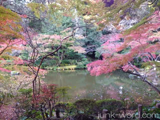 成田山公園紅葉まつり