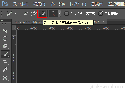 photoshop CC 現在の選択範囲から一部を削除