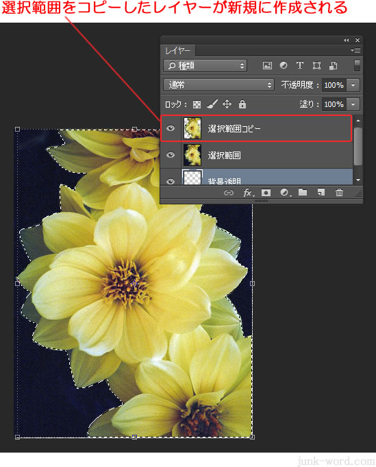 選択範囲のコピーレイヤーを新規に作成