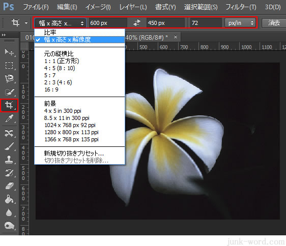 写真のサイズ 幅と高さ を指定してトリミング 切り抜き するフォトショップの使い方 無料講座 入門編 Photoshop Cc
