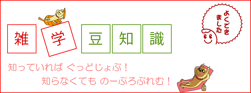 雑学・豆知識ヘッダー画像スマホ用