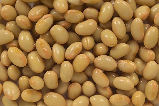 イソフラボンを多く含む大豆